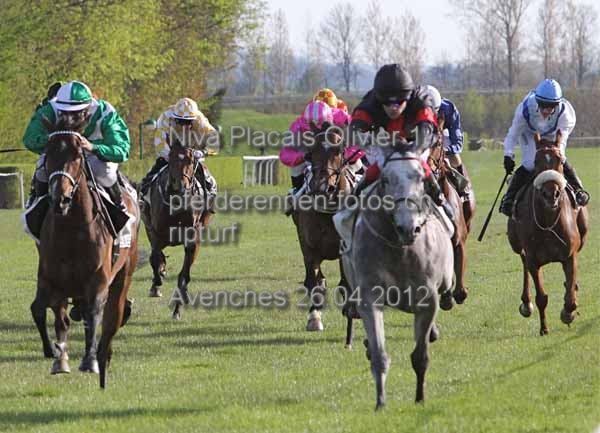 Niva Placais Olivier 1 prot